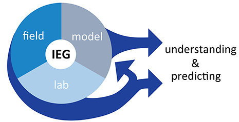 field, lab and model activities 